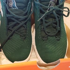 Adidas Bounce 2018 Green Size 6 Excellent in Box